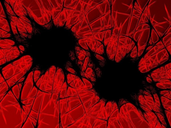 &iquest;Qu&eacute; es la viremia?