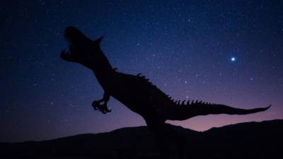 &iquest;Cu&aacute;ntos tipos y especies de dinosaurios existieron?